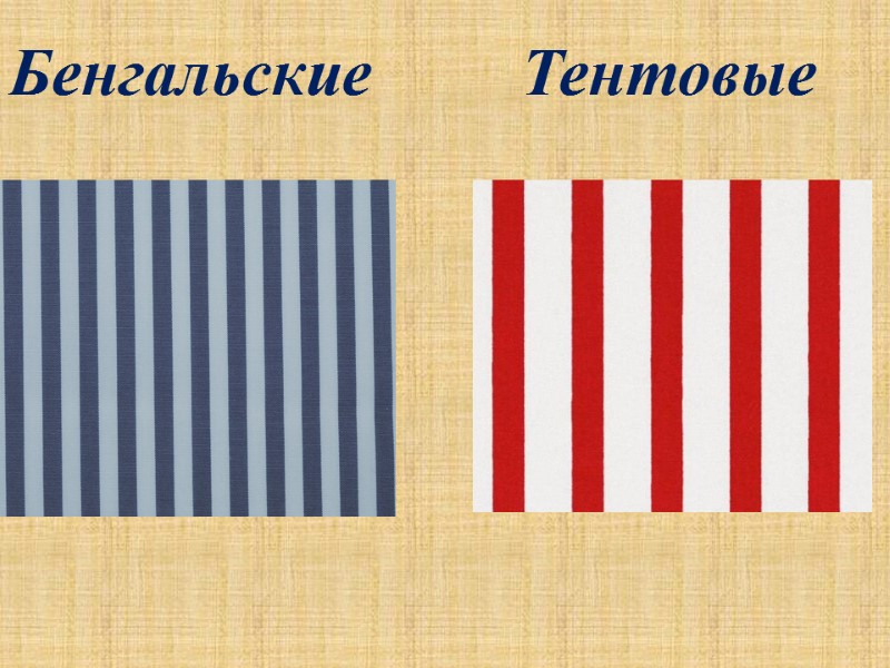 Бенгальские         Тентовые